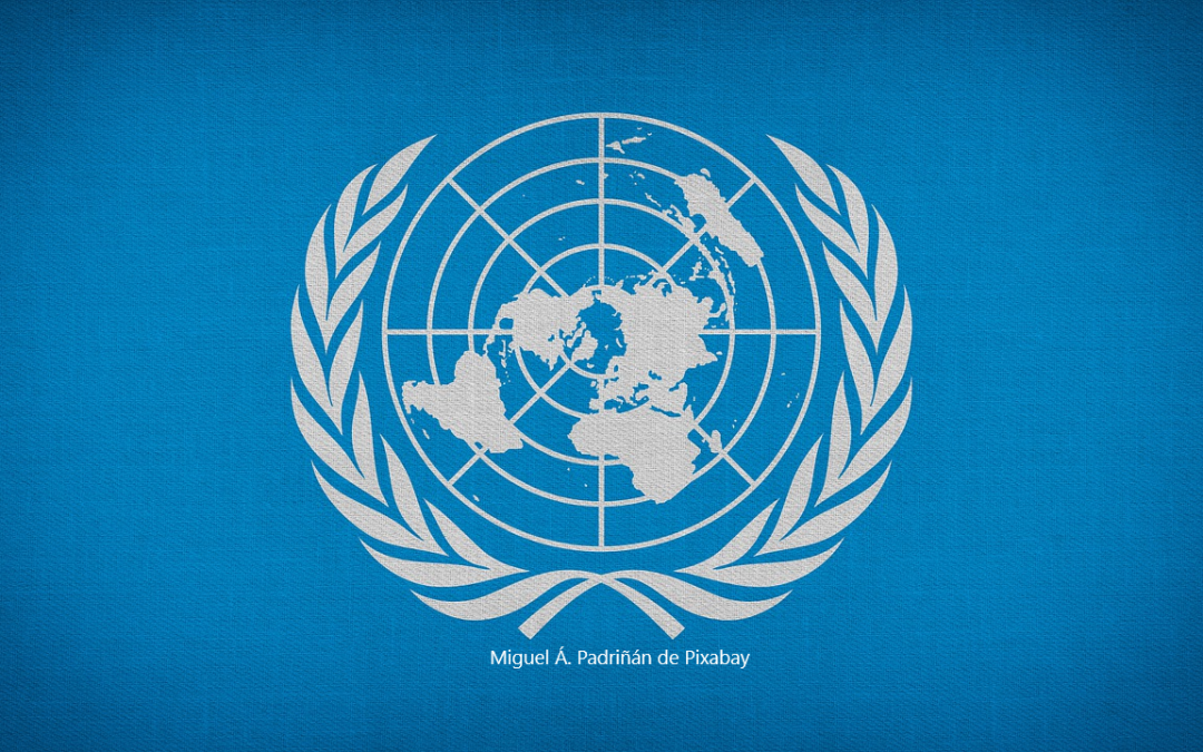 Déclarations solennelles à l’ONU : mais qui donc est visé ?