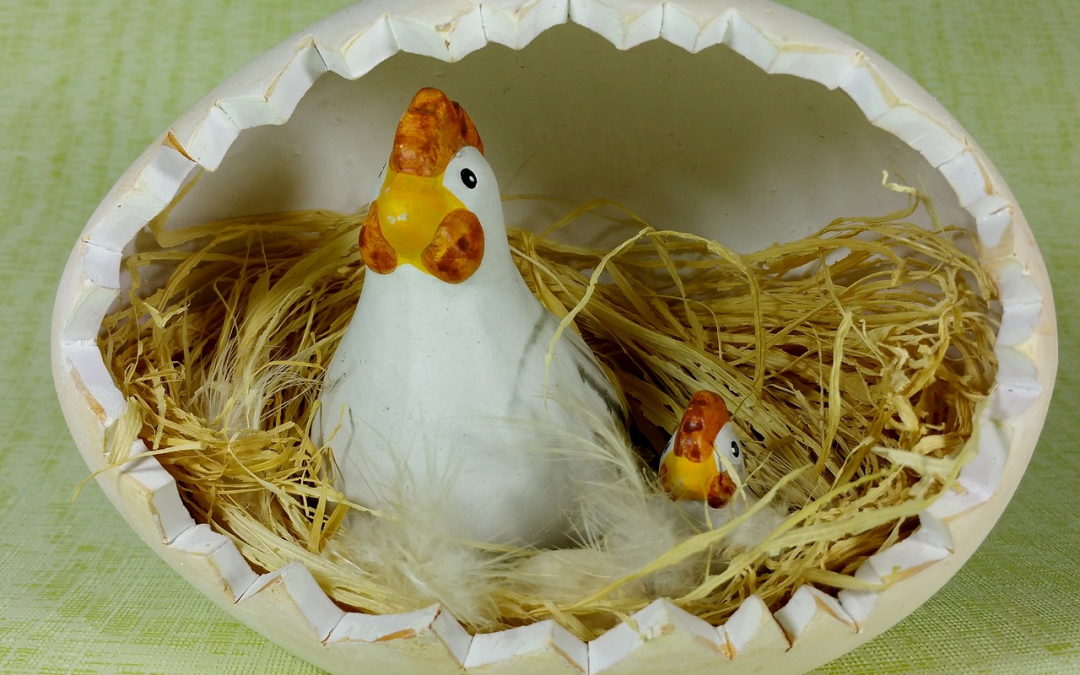 UKRAINE : qui de l’œuf ou de la poule…