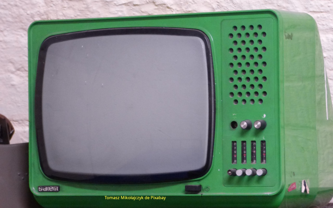 La télévision pour les nuls