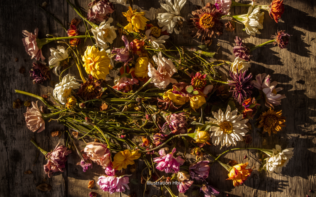 Dites-le avec des fleurs… contaminées !